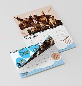 Kaz designs calendars like Doggy Bed & Biscuit