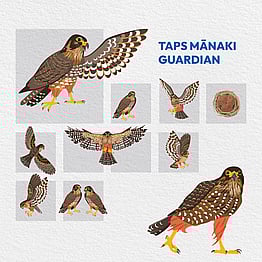 At Kaz - Design. Brand. Web. we create design elements to compliment your brand.