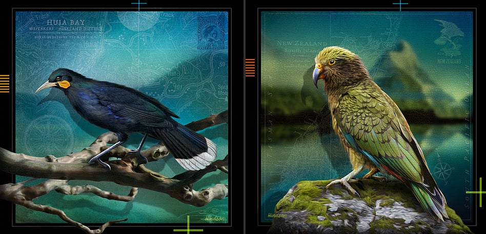 Huia & Kea - DIGITAL ART - NATIVES SERIES