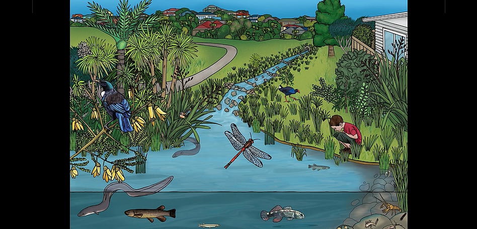 AUCKLAND CITY COUNCIL - STREAM ILLUSTRATION PLAQUE