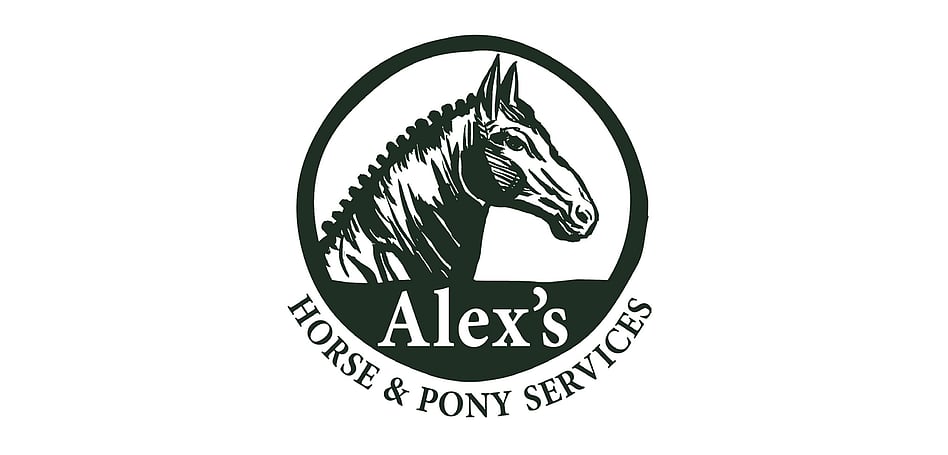 ALEX'S HORSE & PONY SERVICES - BRANDING PROJECT