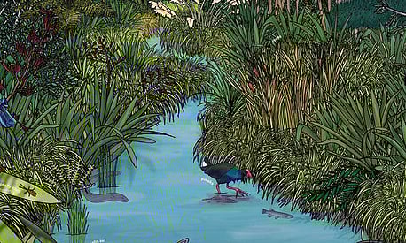 ILLUSTRATION PORTFOLIO