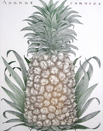 copper plate etching