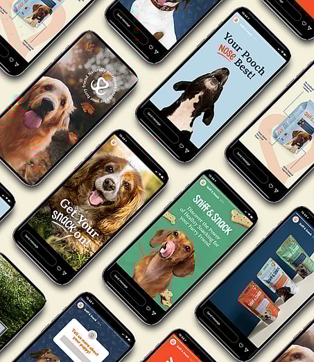 A collection of mobile phones showing instagram marketing content for the Sniff & Snack.