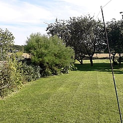 Image shows the garden in 2017 just after we purchased the property ahead of the works. The garden is very established, with old fruit trees and shrubs along the fence lines.
