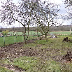 Image shows garden clearance work in progress, part of an ongoing garden landscaping project.