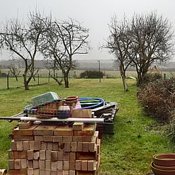 View of the garden taking on a rather dull winters day, no sun and over cast, ready to clear the old trees.