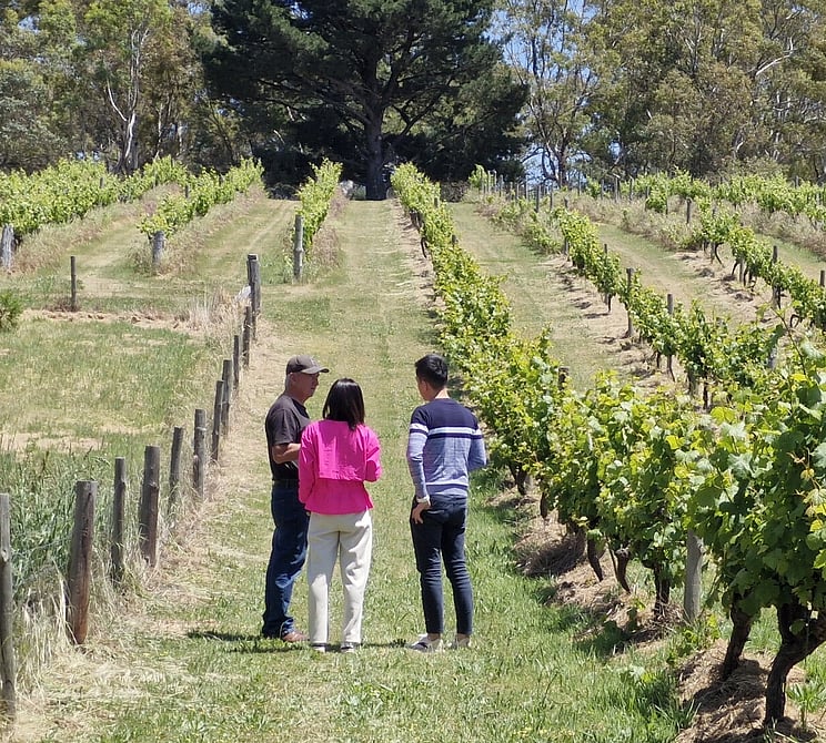 vineyard tour and tasting with the winemaker