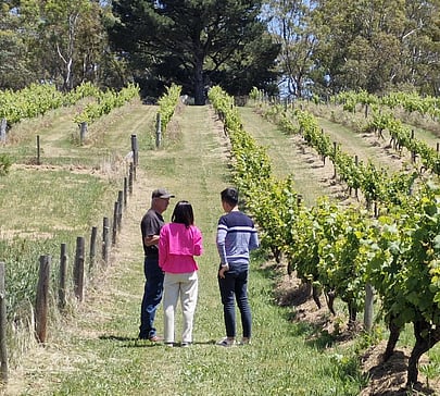 A photo of Colin (the winemaker at Flaxman wines) hosting a tasting
