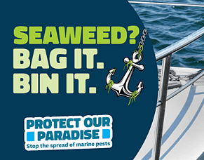 Season's Greetings from the Exotic Caulerpa Team