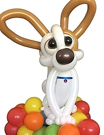 Balloon Puppy | Balloons Tauranga