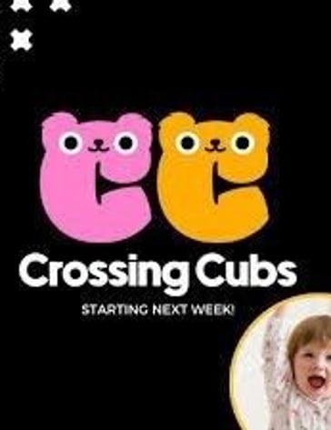 Tauranga Shows and Events - Crossing Cubs | Tauranga Balloons