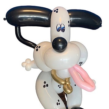 Custom Balloon Design |  | Custom Balloons Tauranga