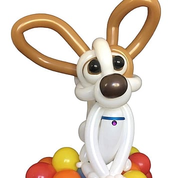 Custom Balloon Design  | Custom Balloons Tauranga