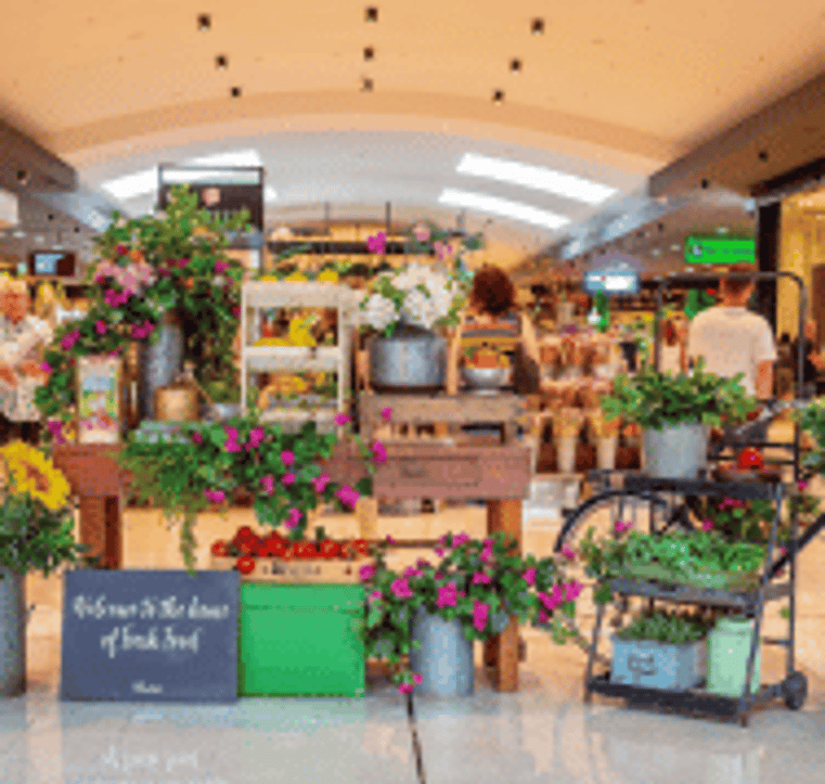 Quality retailer in a mall and department store 