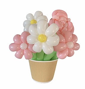 Balloon Flowers | Balloon Flowers Tauranga