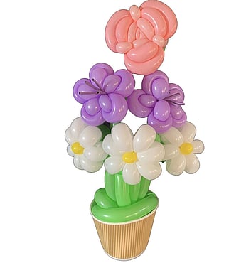 Balloon Flowers | Balloon Flowers Tauranga