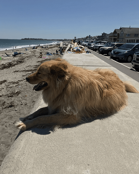 Hampton NH hotel near ocean