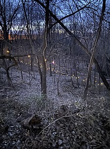 The Rozarks lit up during the annual Luminary Hike