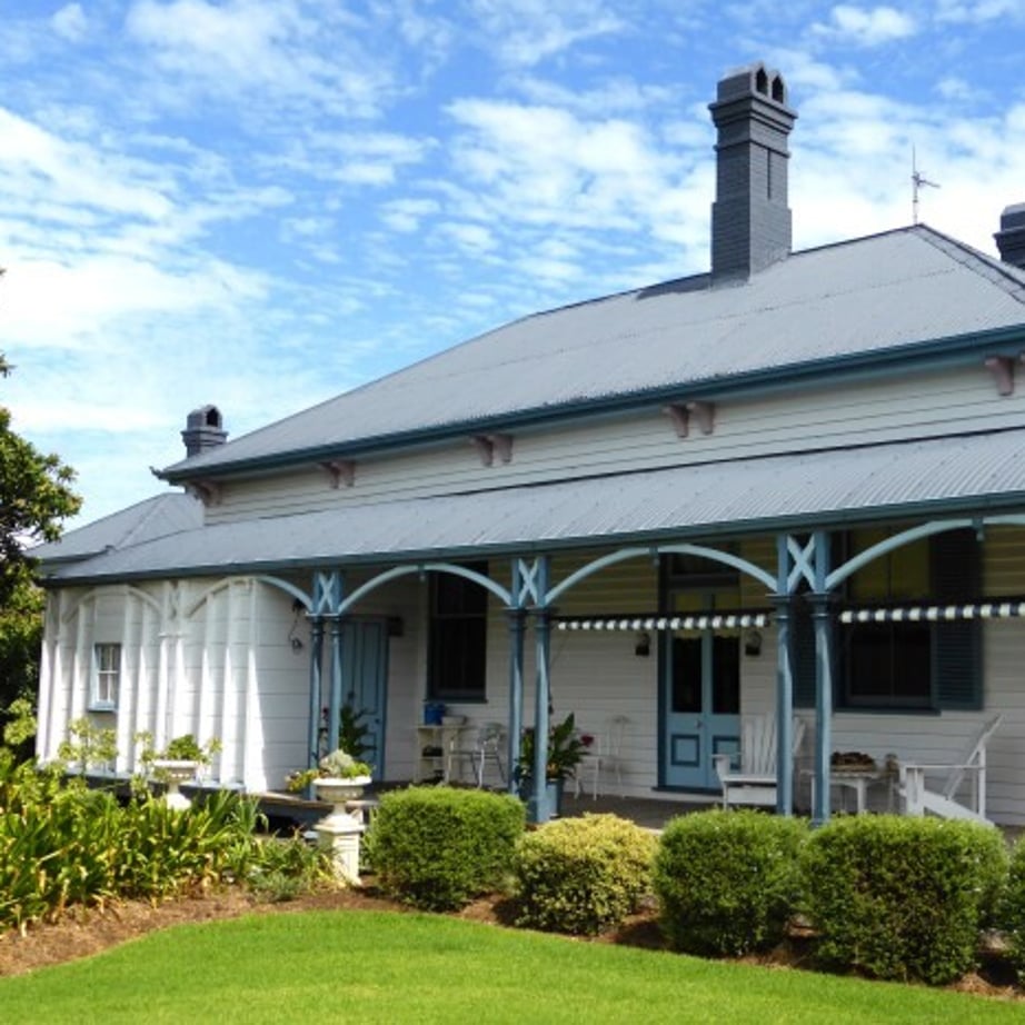 Baby turtles walking on the sand