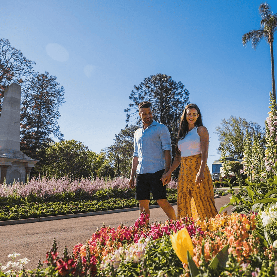 Tourists camping at the beach at night
