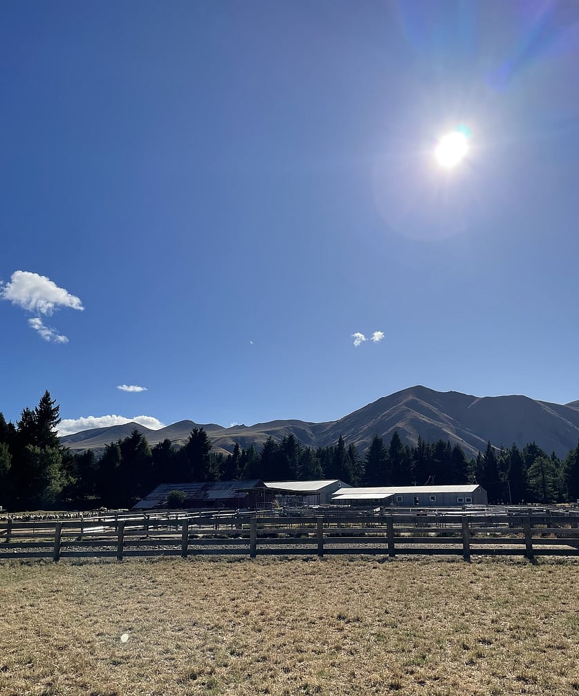 Hakatere Station sheep yards