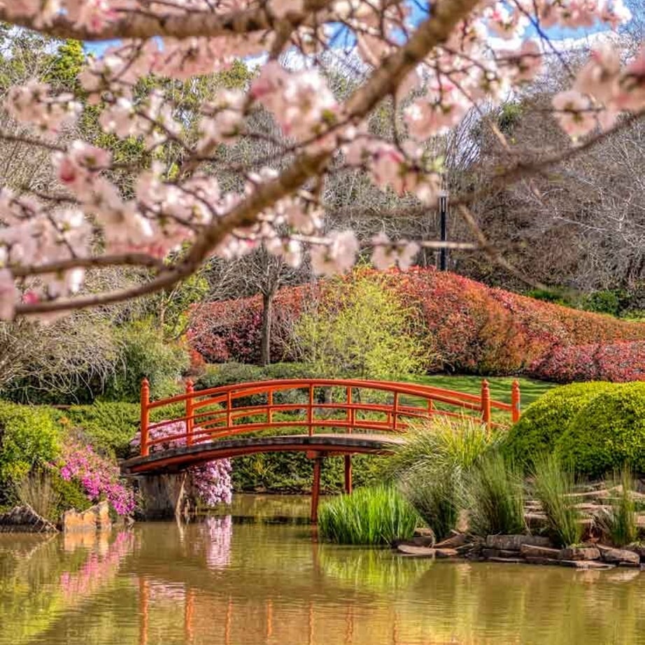 Lounge venue with a view overlooking trees