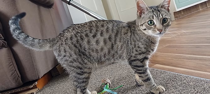 Tina today - healthy and thriving after treatment.