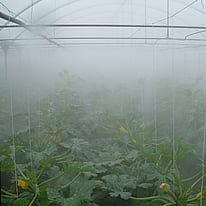 Greenhouse Misting System