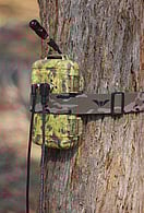 Anabat Chorus Ranger