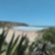 Check calendar & book now