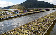 XL6 DV Aquatray & Accessories