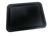 Food Service Tray (Large)