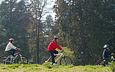 Three people riding bikes through a green open space