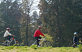 Three people riding bikes through a green open space