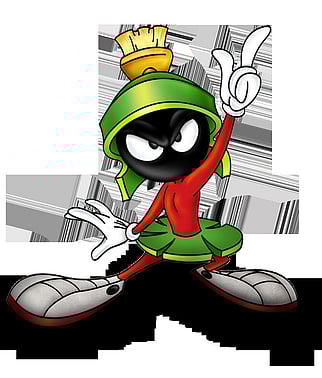 This photo may not be a true representation of the coach