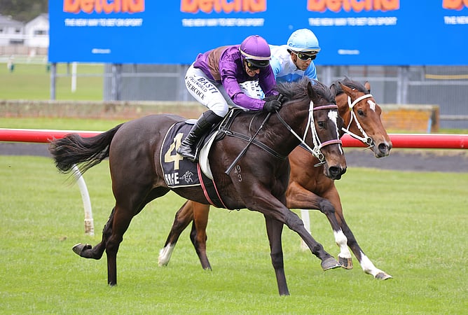 Midnight Dart winning on debut at Trentham -  Photo: Race Images PN