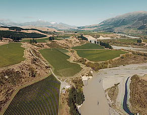 Blank Canvas: Innovating new varieties and places