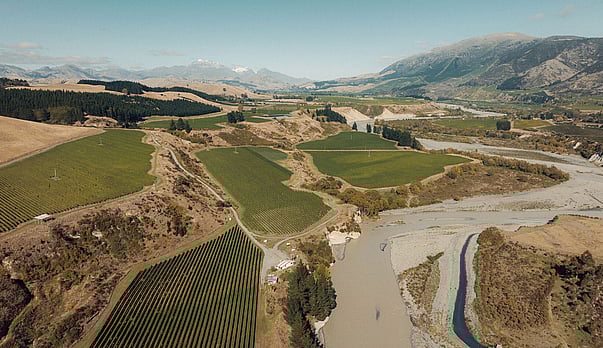 Blank Canvas: Innovating new varieties and places