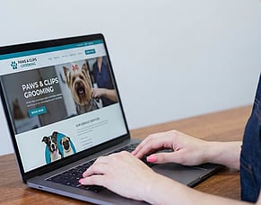 GEO Marketing: How to Reach Local Customers in New Zealand