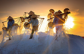 Payroll Services - Let our Payroll Department take the worry out of complying with regulations and meeting deadlines