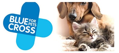 Blue Cross for Pets logo (our charity of the year)