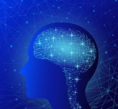 Chiropractic and Adaptability