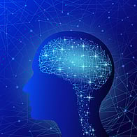 Chiropractic and Adaptability