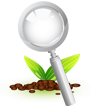 Integrating your own philosophical lens (Badge-8) - Your responsibilities