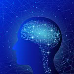 Chiropractic and Adaptability