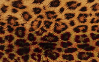 Production Management - & Accountancy