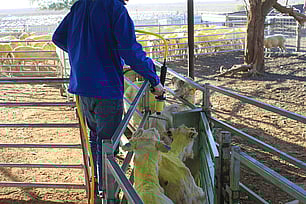 Innovation & Technology