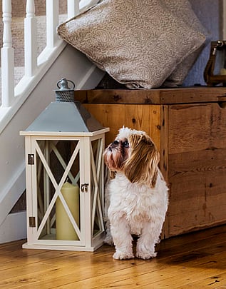 Interior Design Tyne & Wear