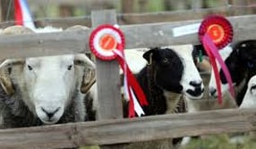 Slaley Show, Northumberland